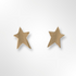 Silver Gold Plated Satin Star Stud Earrings